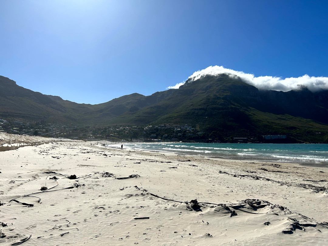 Hout Bay Beach-木湾必去景点
