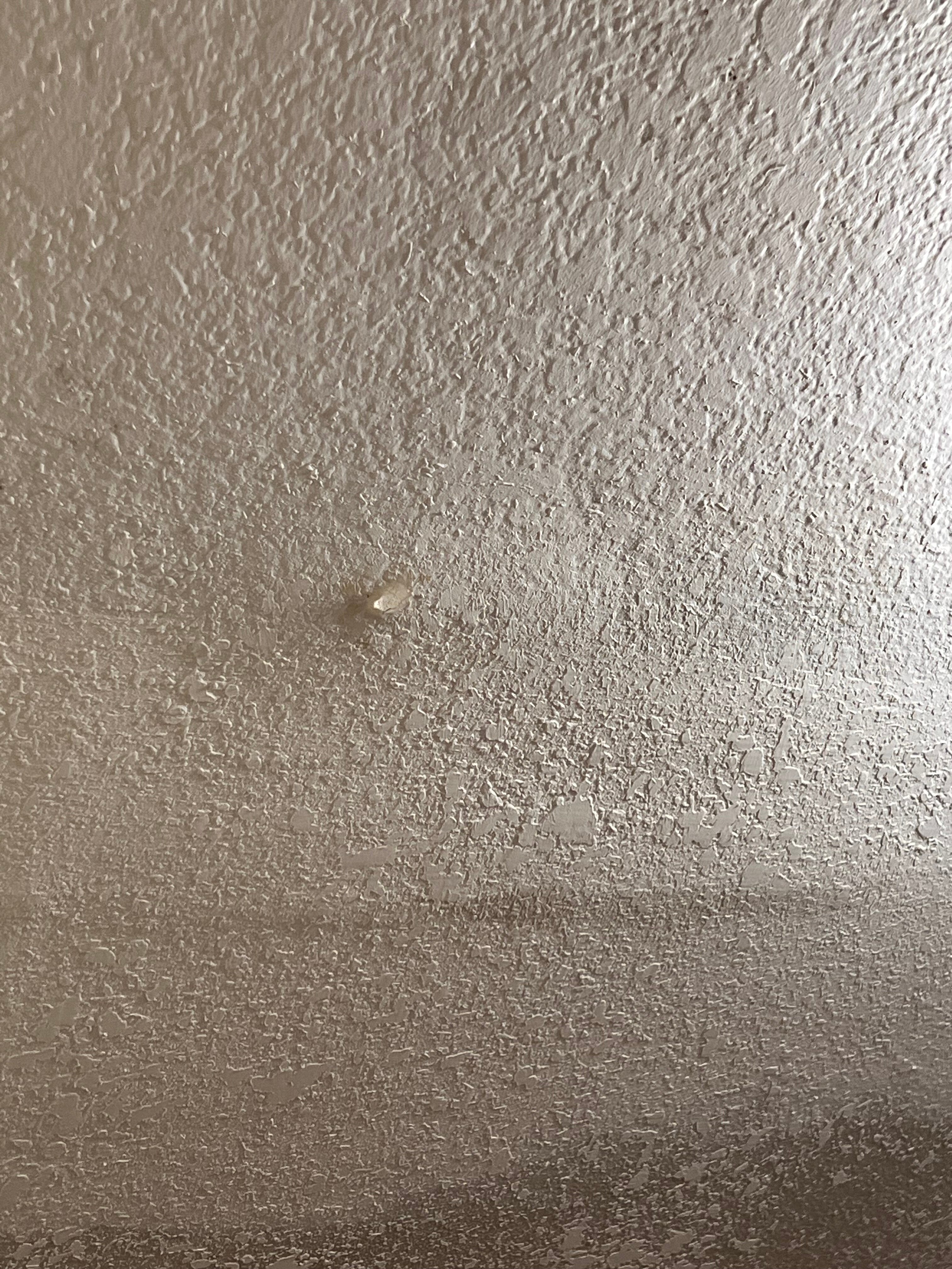 Clackamas Inn & Suites-官方