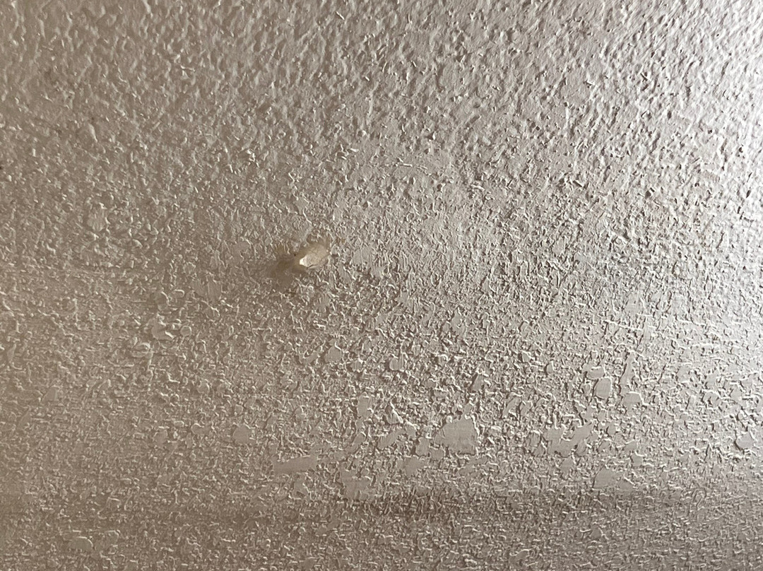 Clackamas Inn & Suites主图