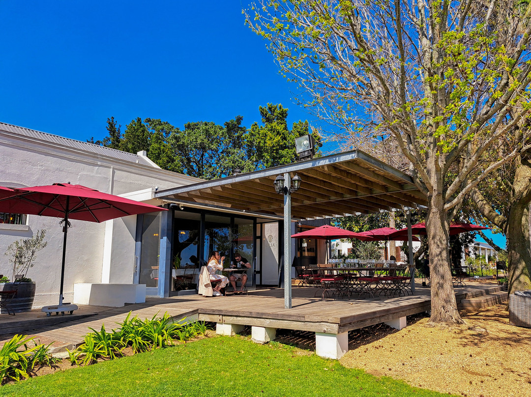 Alto Wine Estate-斯泰伦博斯必去景点