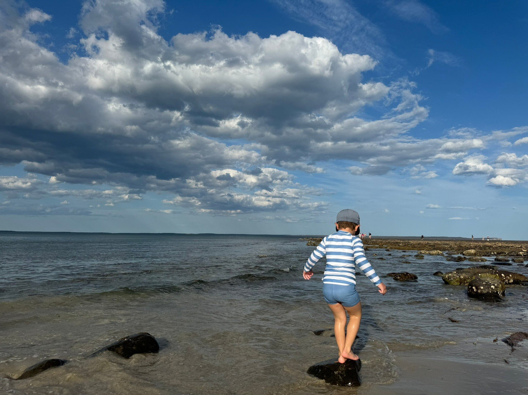 Huskisson Beach Escape主图