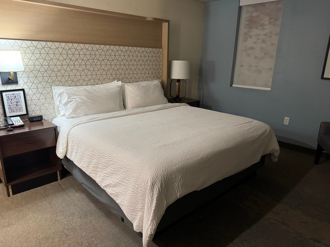 Holiday Inn Metairie New Orleans By IHG主图