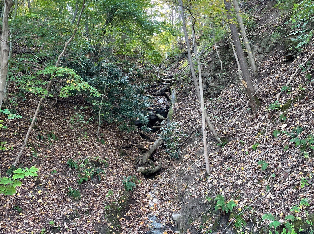 Pricketts Fort State Park-Fairmont必去景点