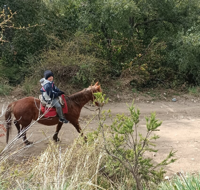 Cabalgatas Huara (Horse Ride Huara)-圣卡洛斯-德巴里洛切必去景点