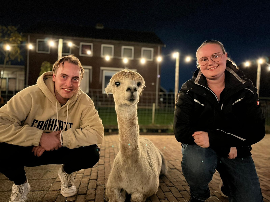 AlpaCasa景点图片