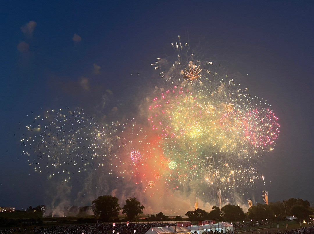 板桥花火大会-板桥区必去景点