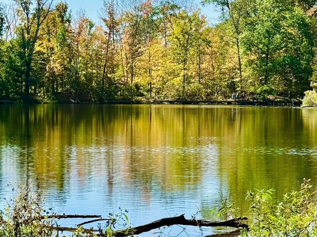 Cincinnati Nature Center-Milford必去景点
