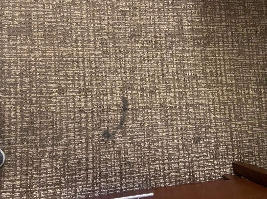 Comfort Suites Panama City Near Tyndall AFB主图