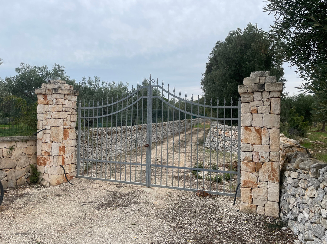 Apulia Bike Tours景点图片