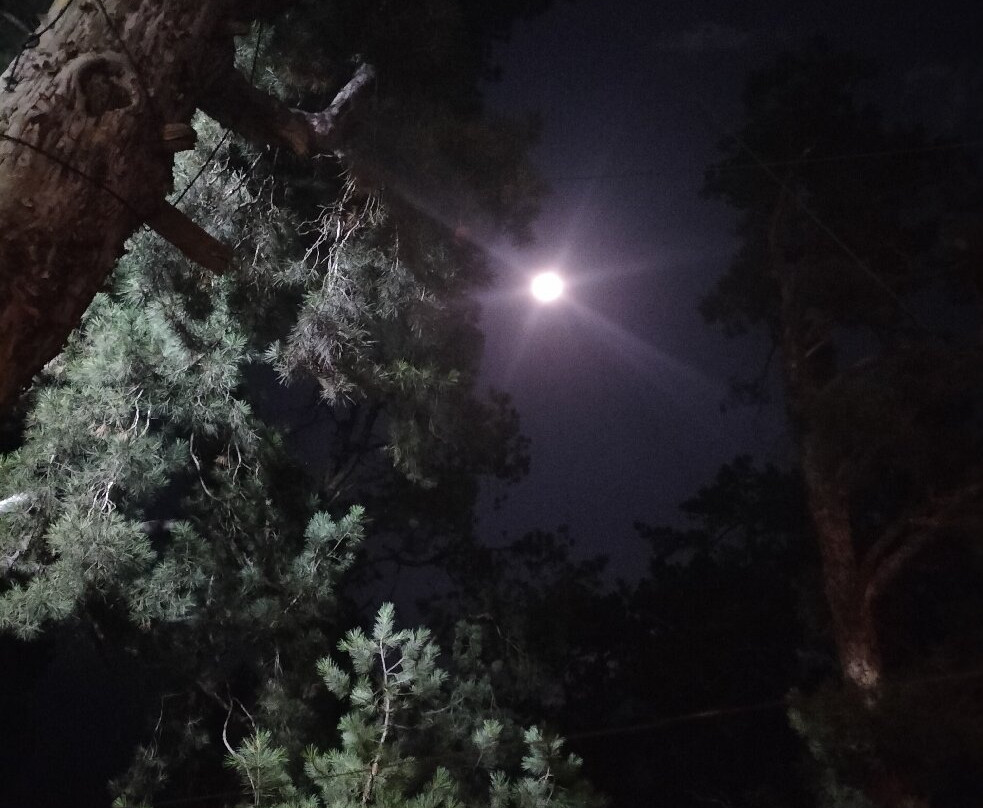 Wanderers Homestay主图