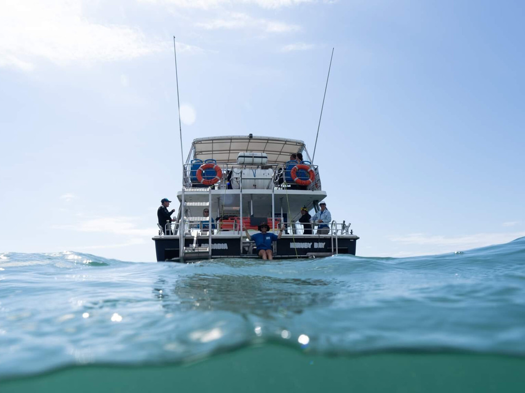 Hervey Bay Dive Centre景点图片