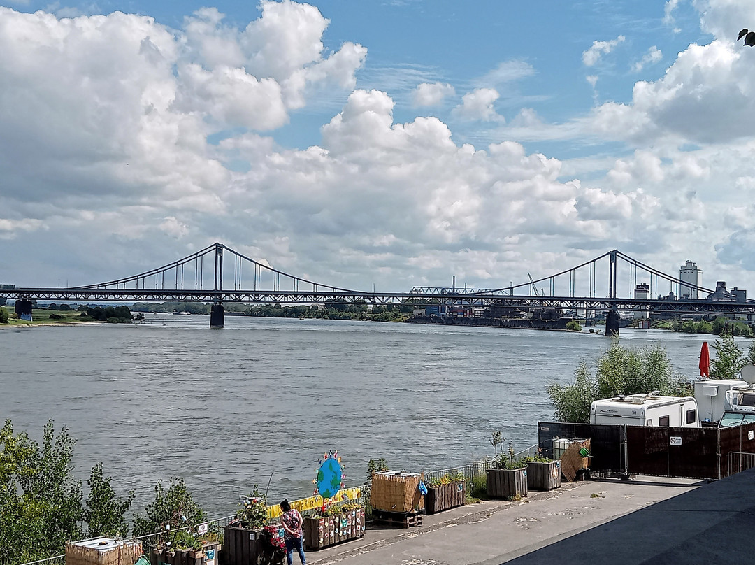 Krefeld-Uerdinger Brücke景点图片