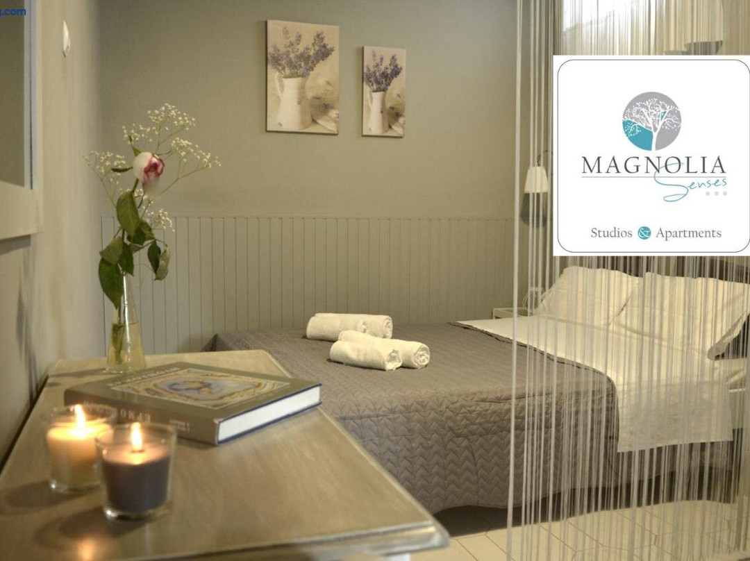 Magnolia Senses