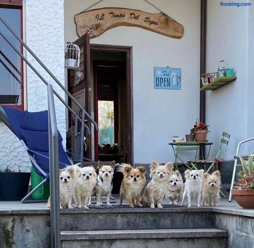 Feriolo旅游攻略图片