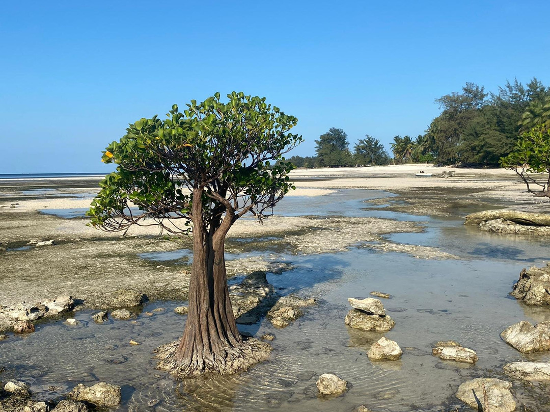 Walakiri Beach景点图片