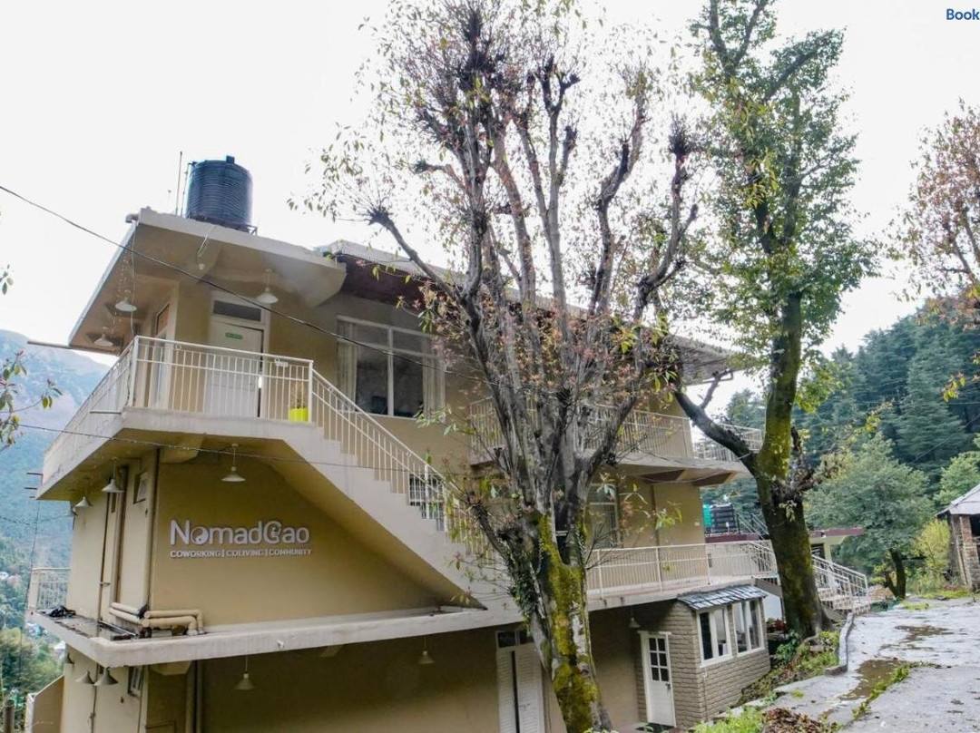NomadGao Dharamkot