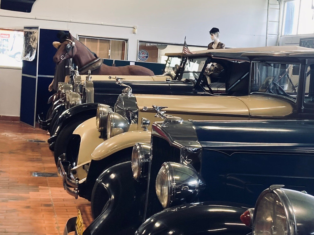 Packard Motor Museum-Maungatapere必去景点