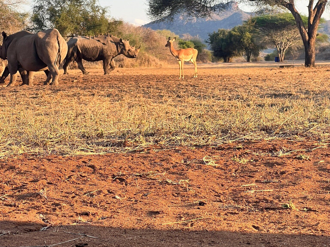 Mkomazi National Park Rhino Sanctuary-Same必去景点
