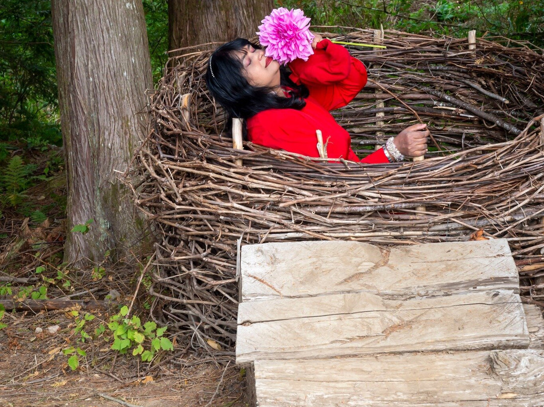 Shangrila Farm-米逊必去景点