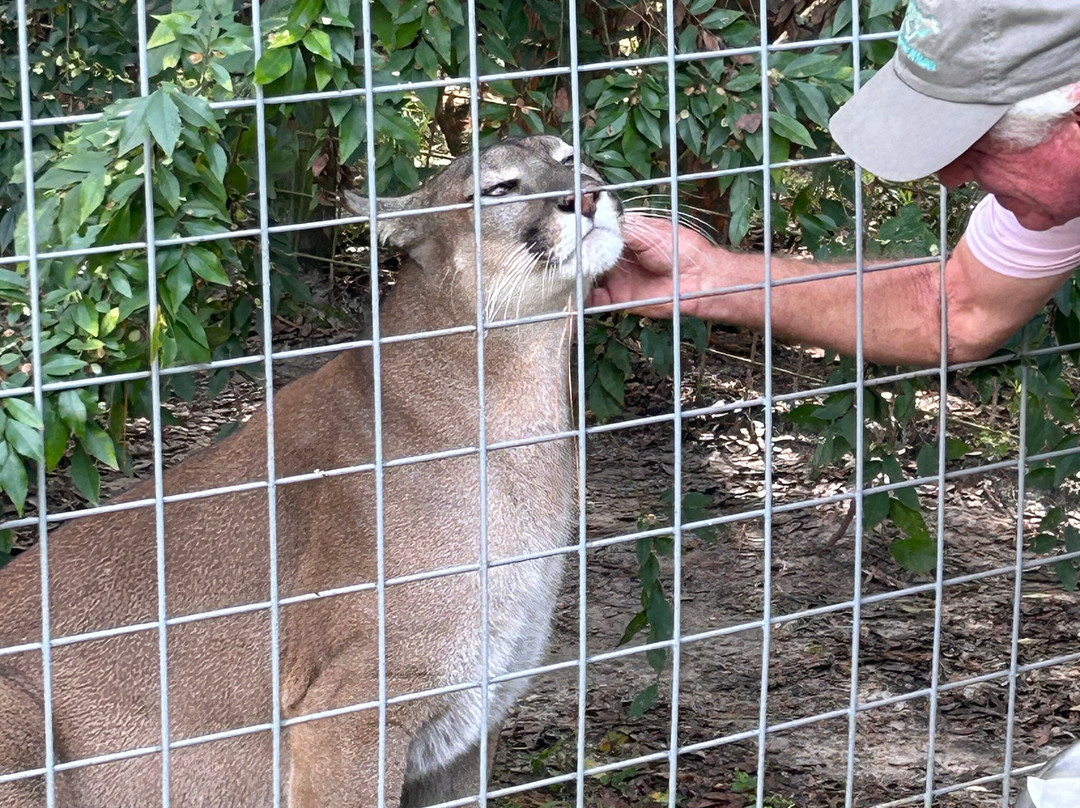 Carson Springs Wildlife Conservation Foundation景点图片