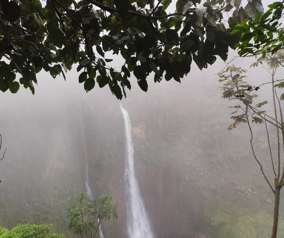 Catarata Del Toro景点图片