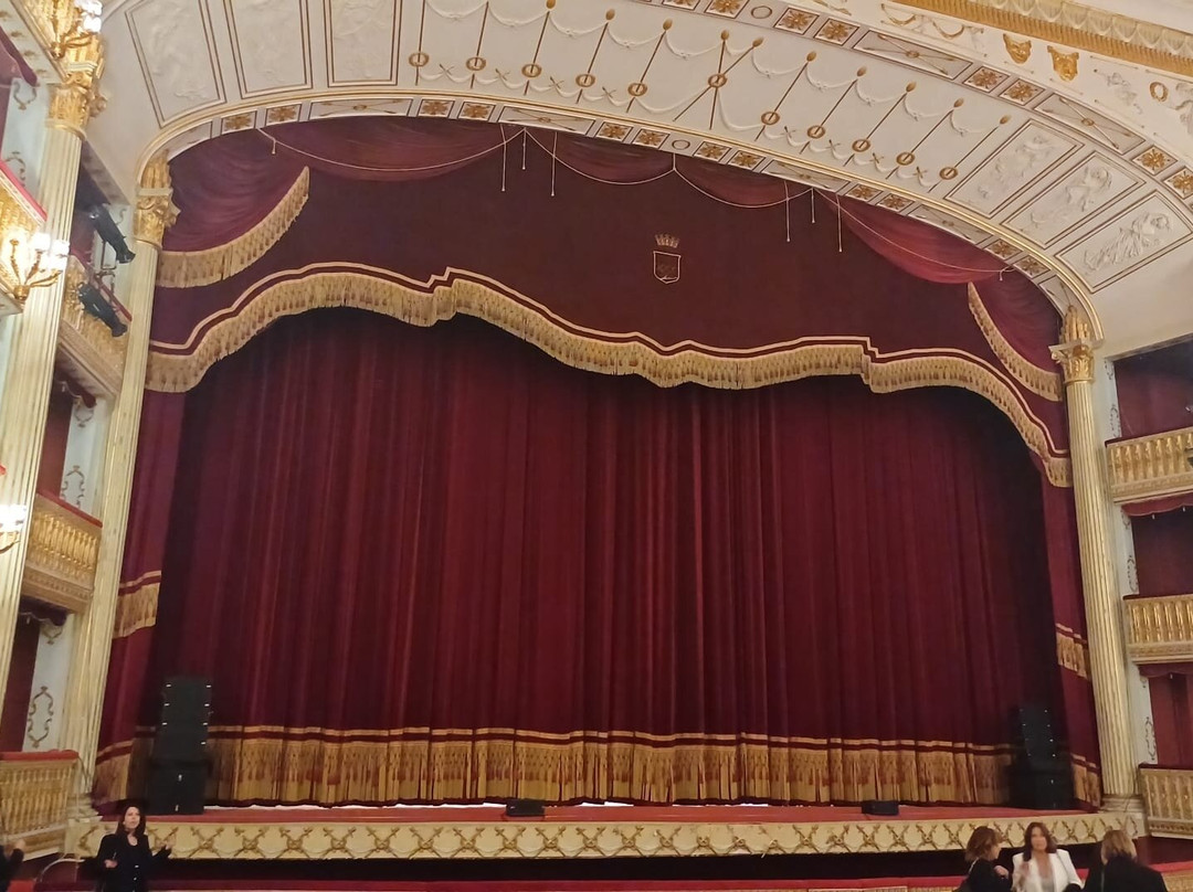 Teatro di tradizione Alfonso Rendano景点图片