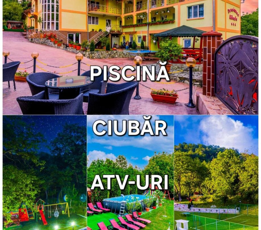 Pensiunea Mihaela主图