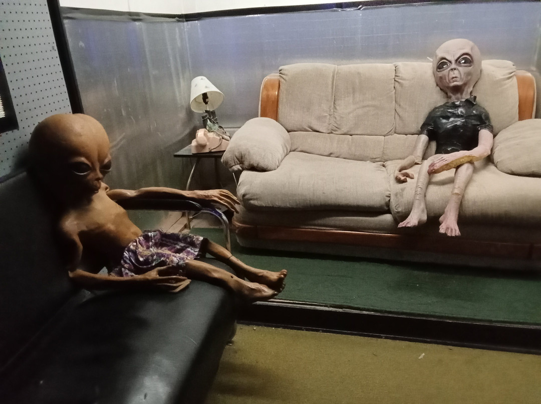 51外来生物区-罗斯威尔必去景点