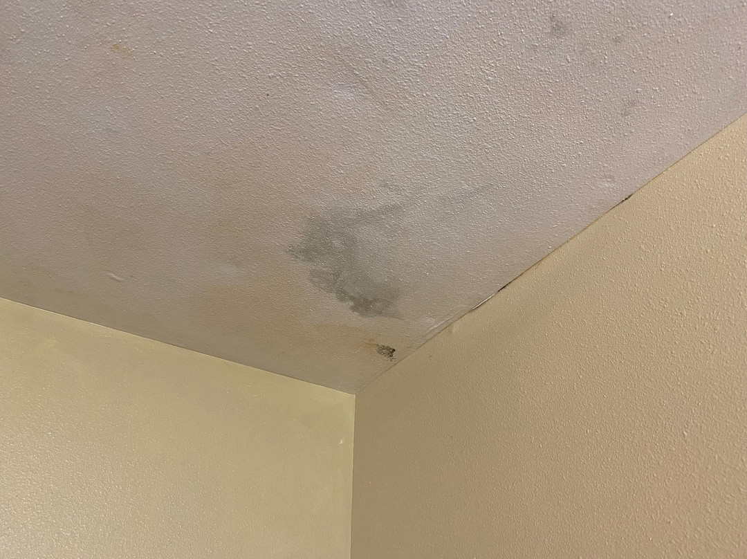 La Quinta Inn & Suites By Wyndham Helena主图