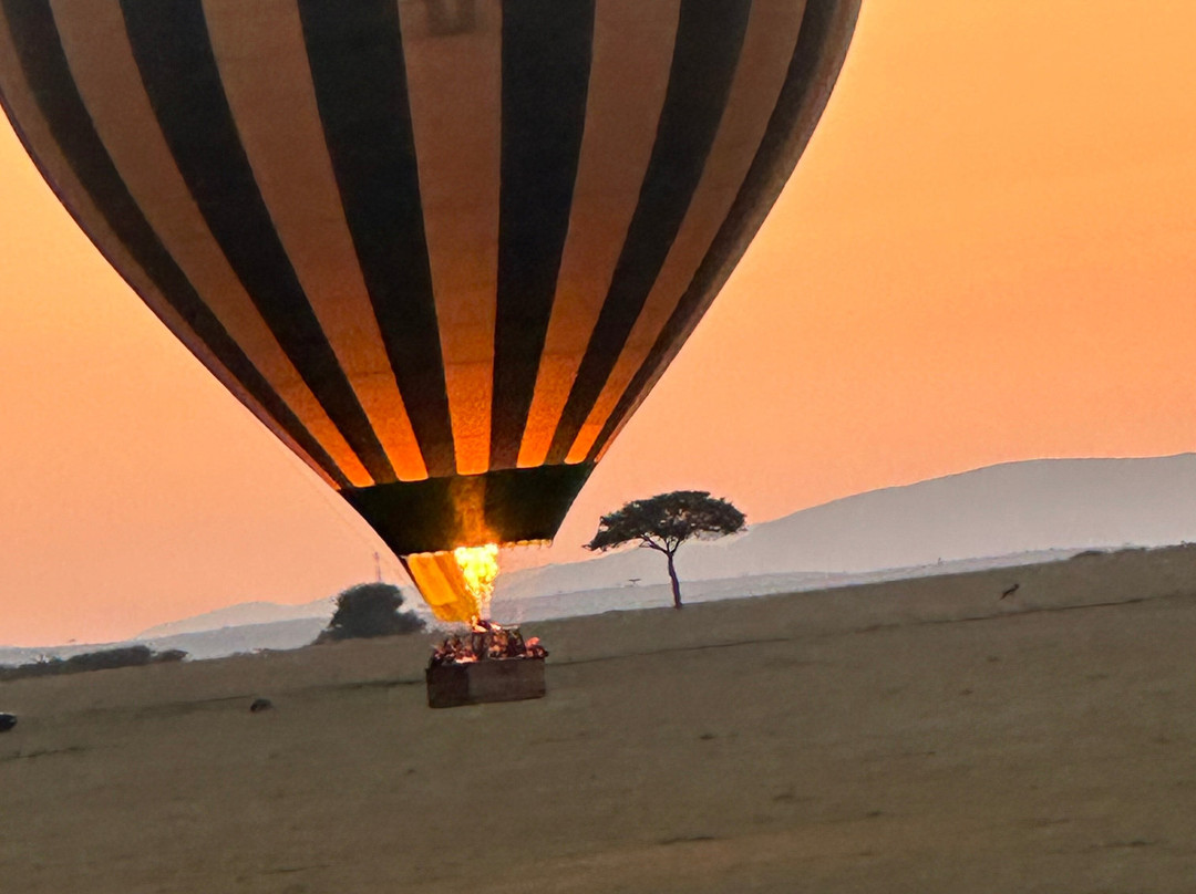 African Savannah Holidays-内罗毕必去景点