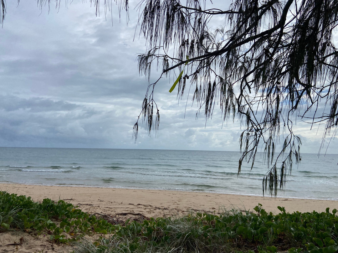 Woodgate Beach景点图片