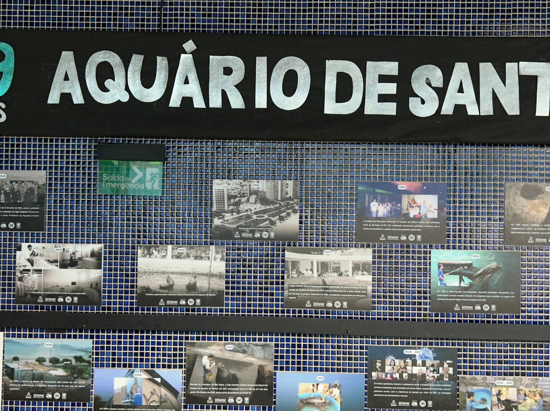 Municipal Aquarium of Santos-桑托斯必去景点