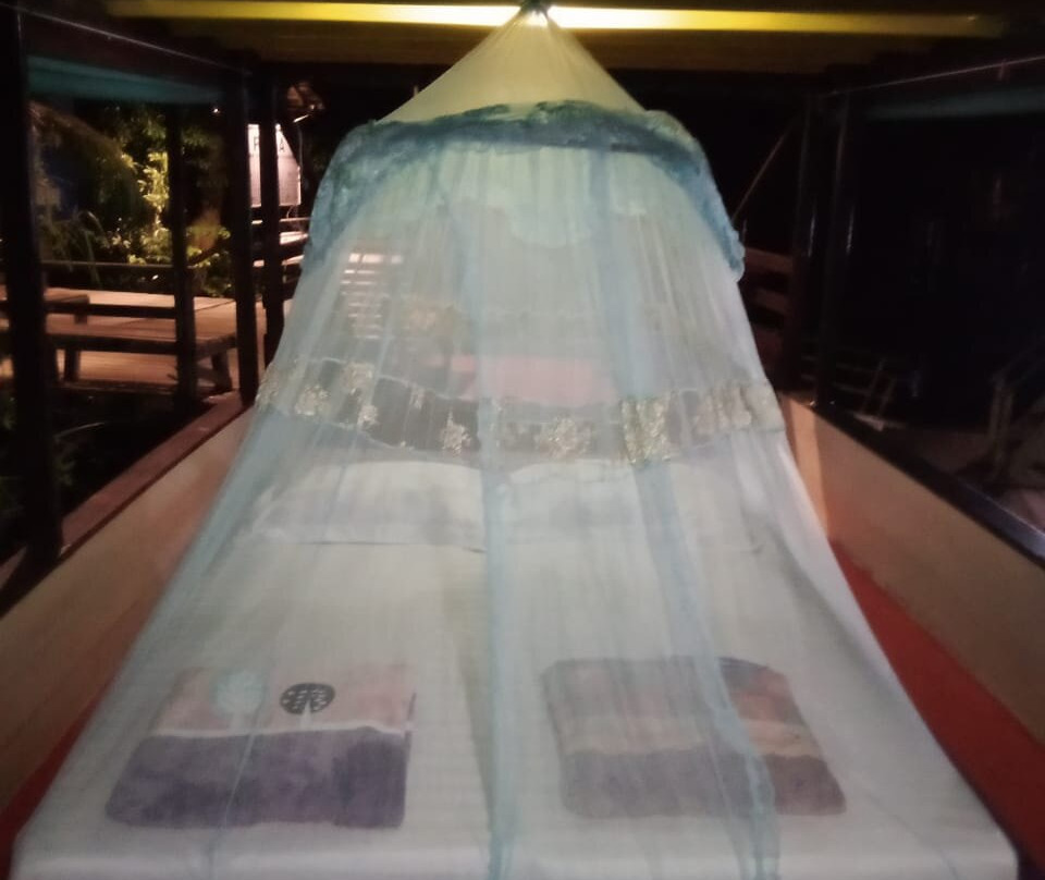 Dolphindo Tour Orangutan Tanjung Puting