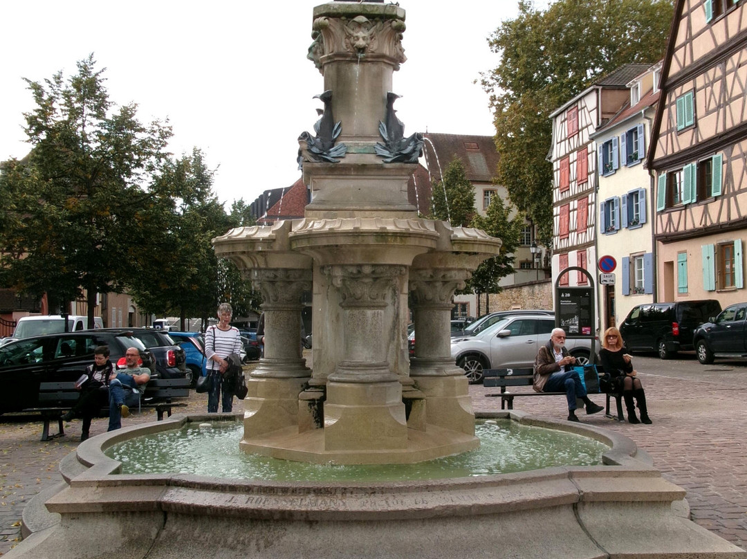 Fontaine Roesselmann景点图片