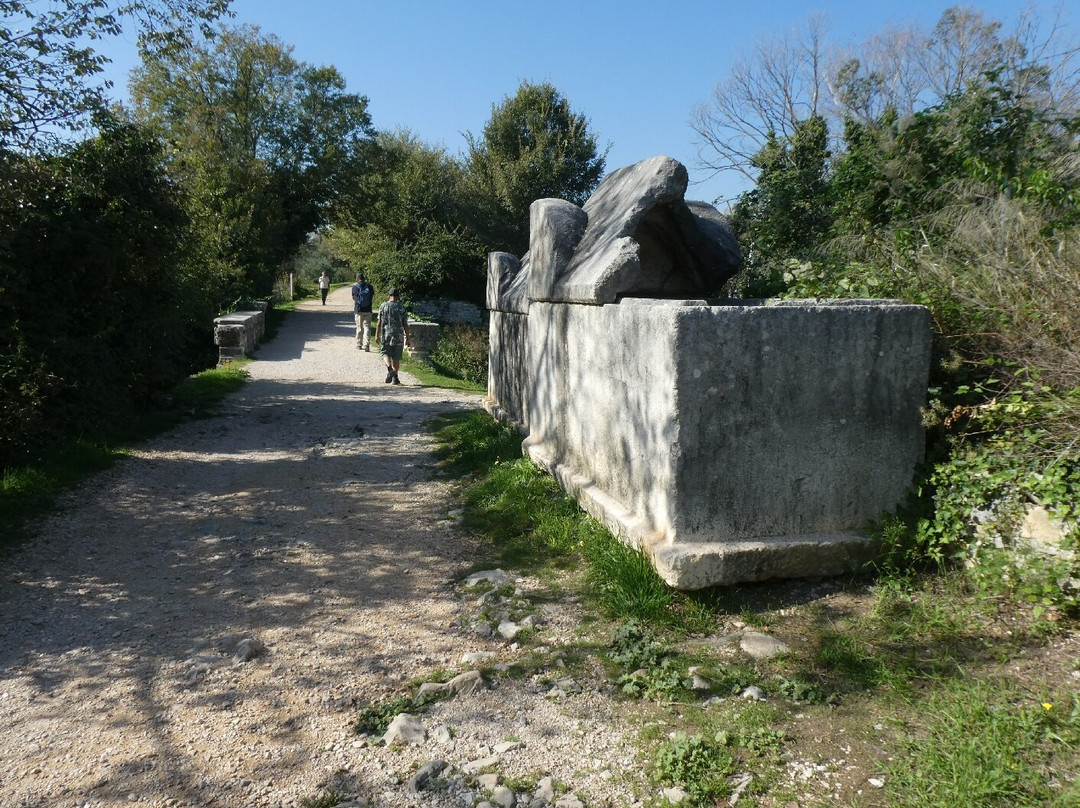 Ancient Salona景点图片