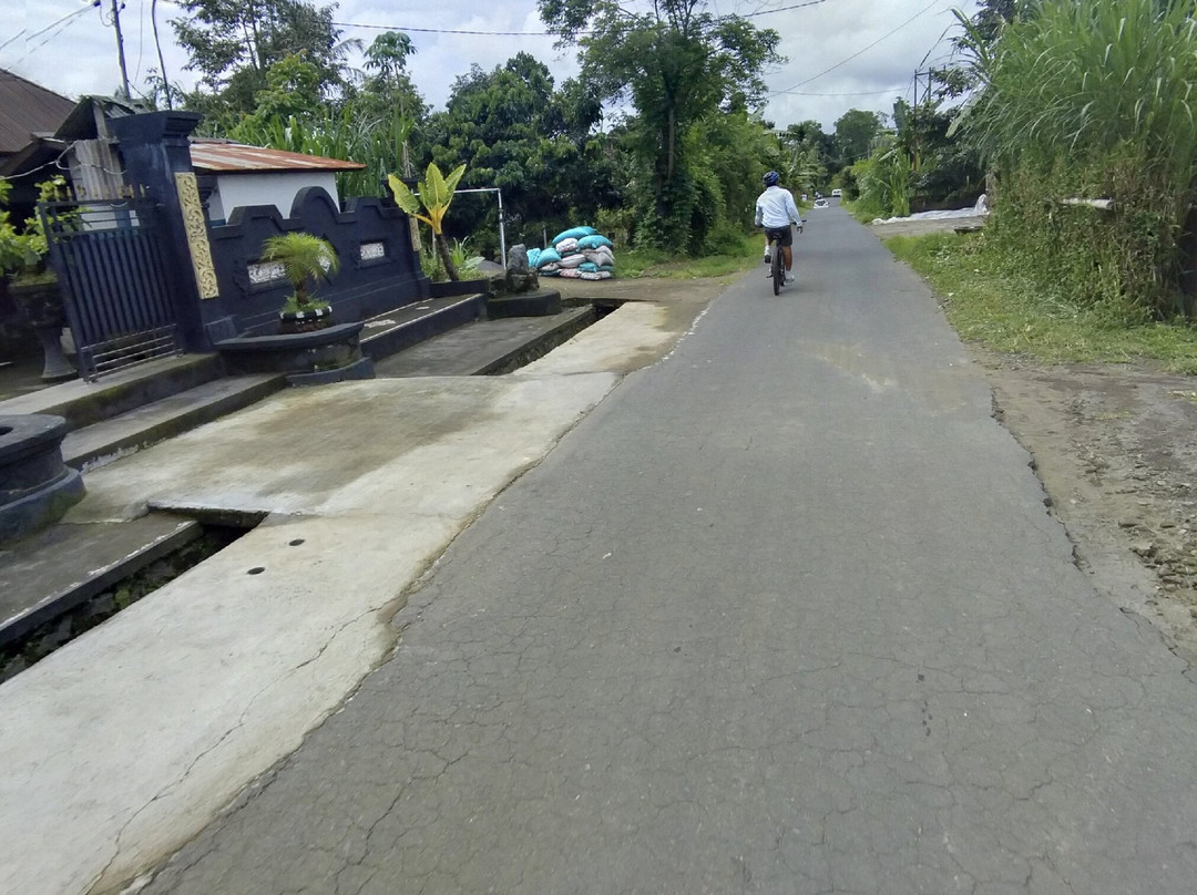 Bali Bike Adventures景点图片