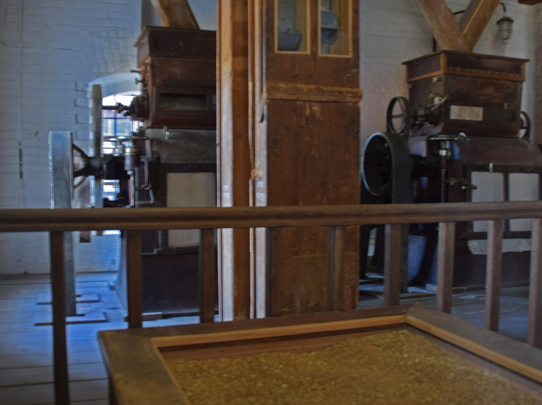 Karginskaya Mill-Karginskaya必去景点