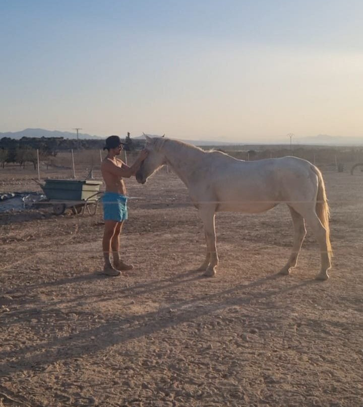 Rancho Cavalli-Alhama de Murcia必去景点