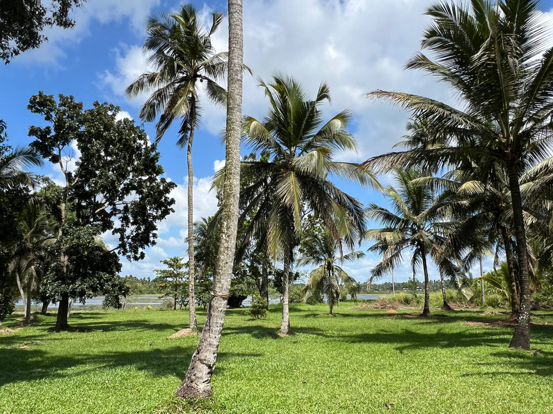 The Notary's House主图