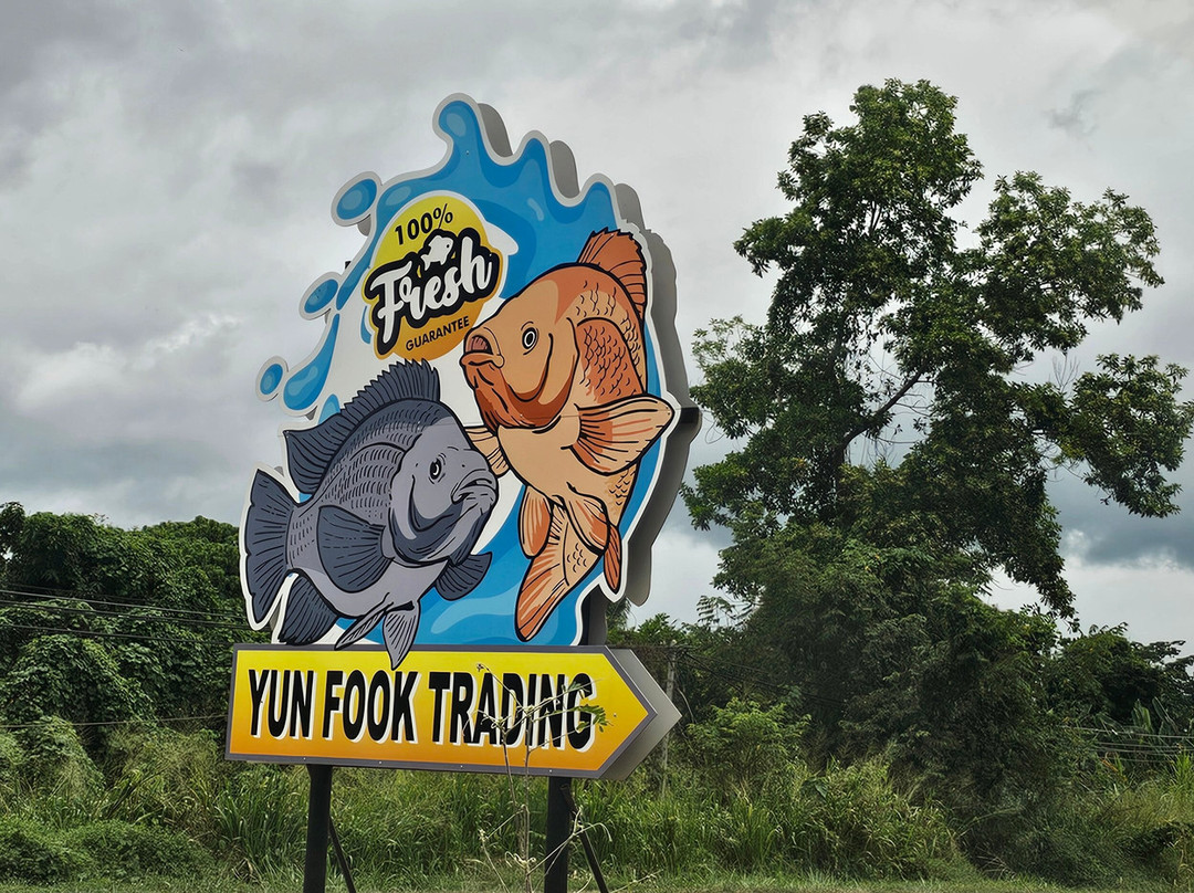 Yun Fook Trading (kolam Ikan)-根地咬必去景点