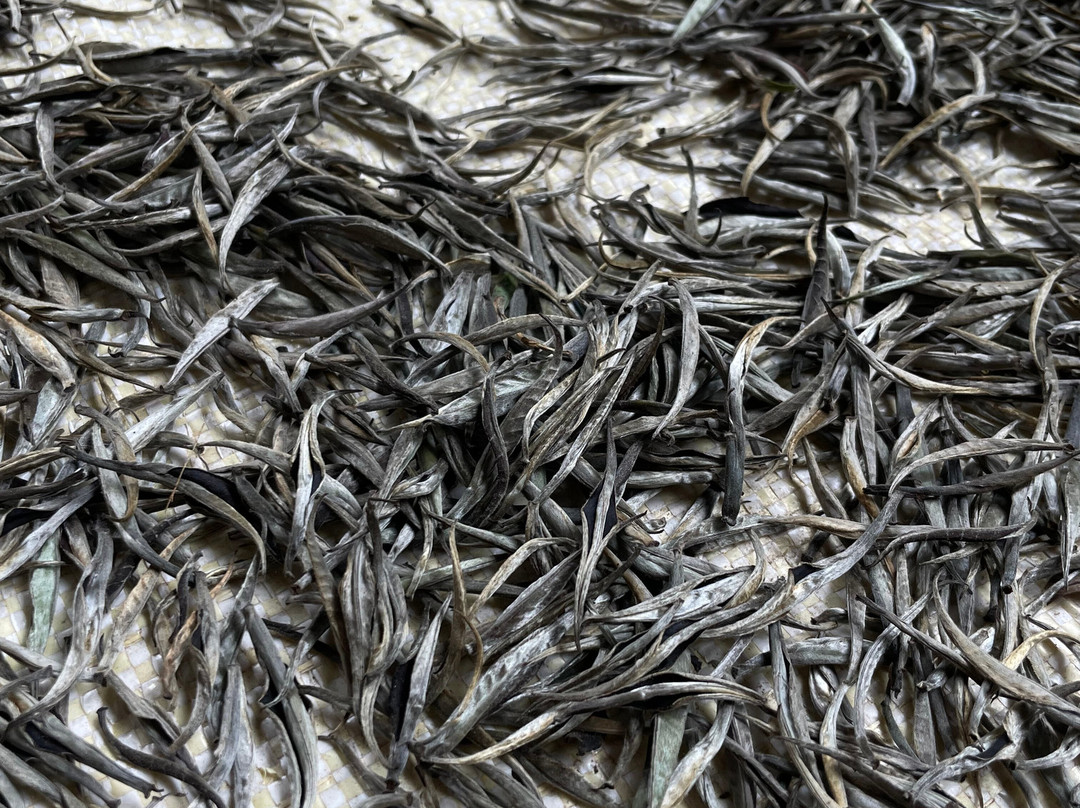 Muswenna Tea Factory-加勒必去景点