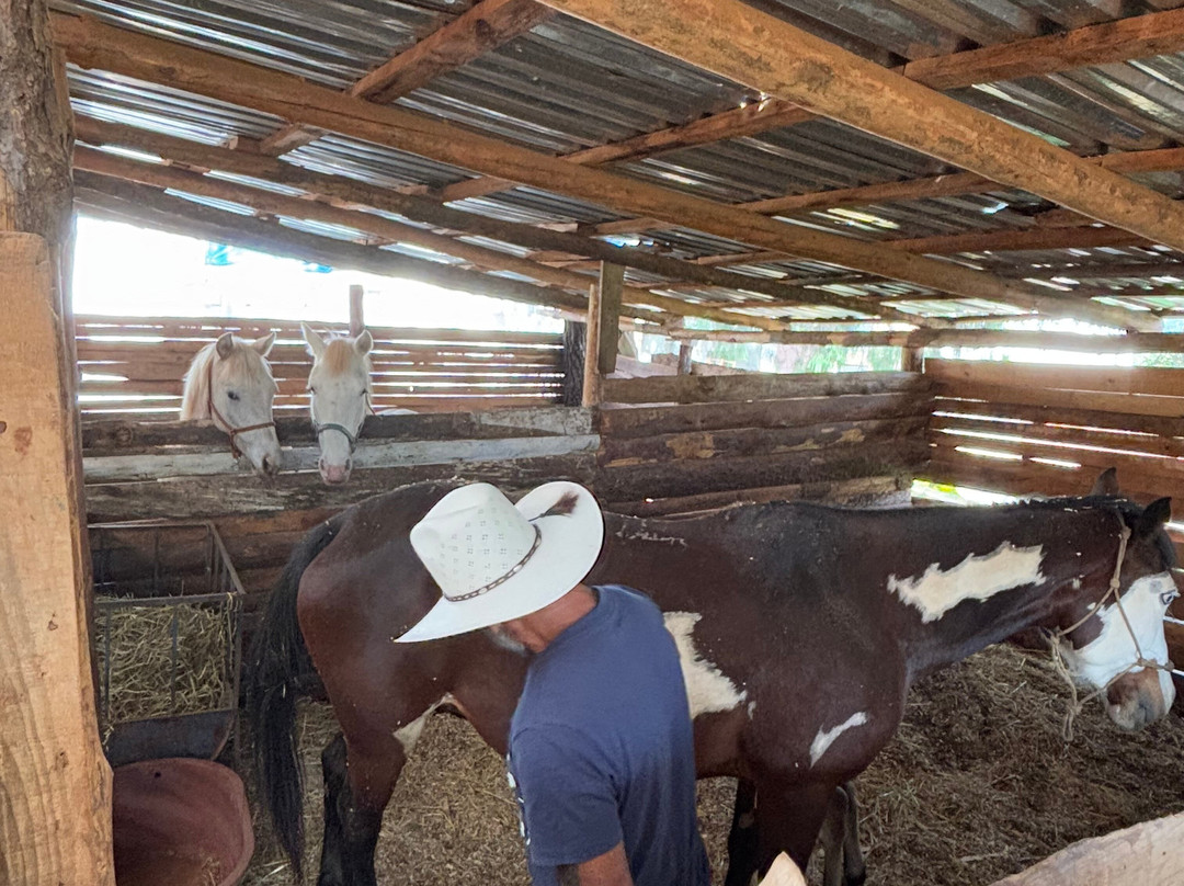 Caballos Huasca Tours-华斯卡德奥坎波必去景点