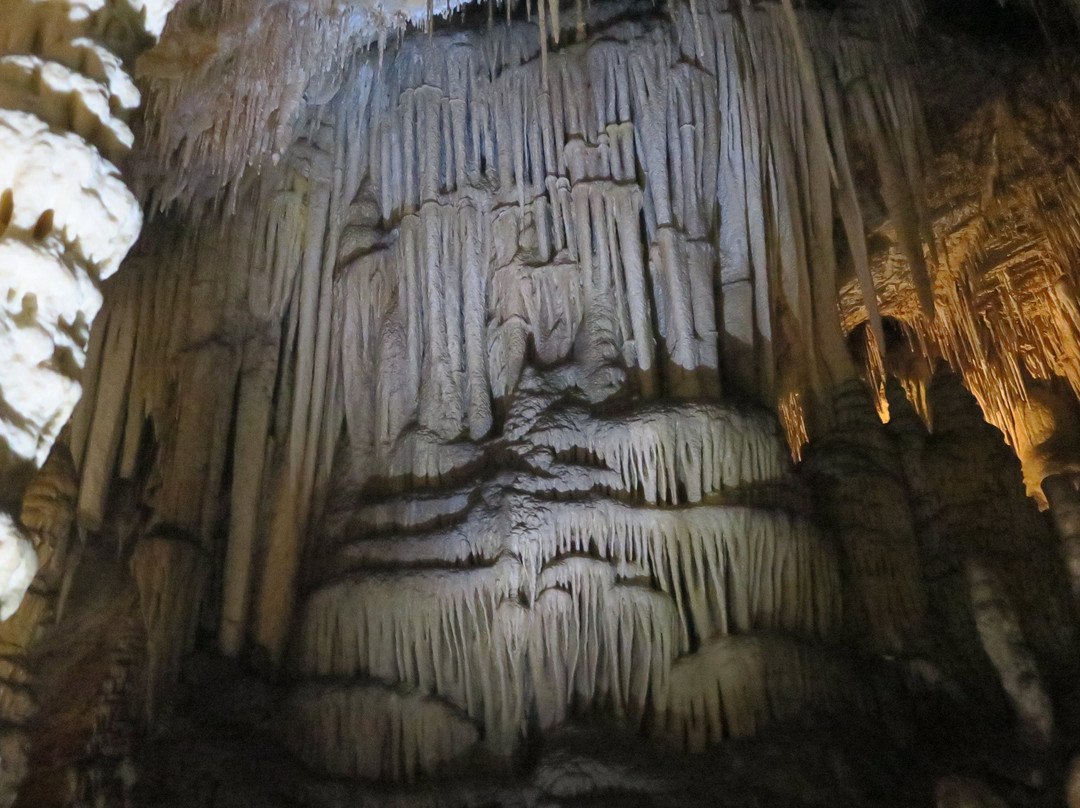 Hastings Caves and Thermal Springs景点图片