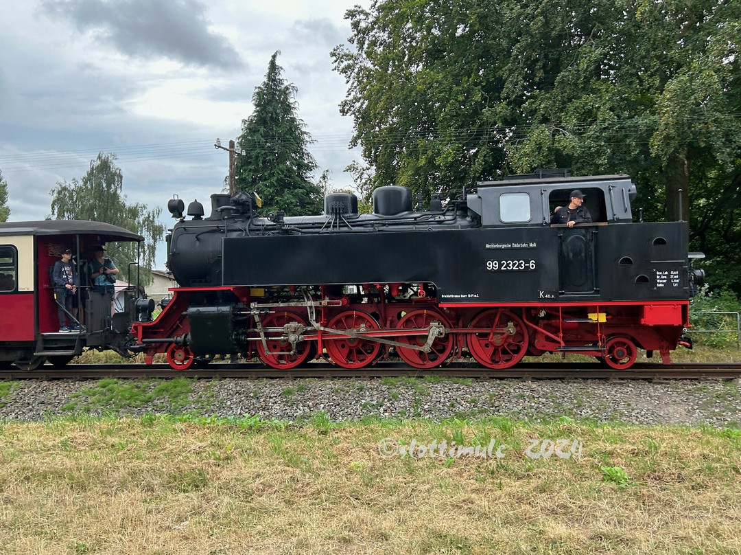 The Mollie Steam Train景点图片