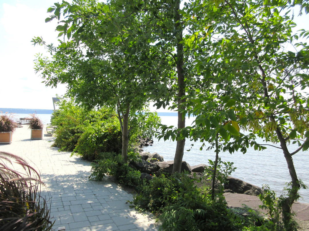 Quai De Les Écureuils景点图片