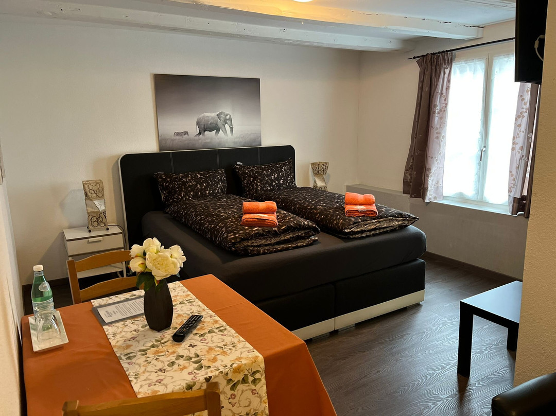 Hotel Baren Amriswil主图