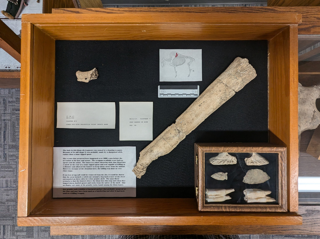 Yellow Medicine County Museum & Historical Society景点图片