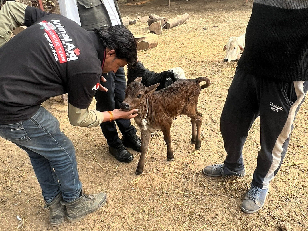 Animal Aid Unlimited景点图片