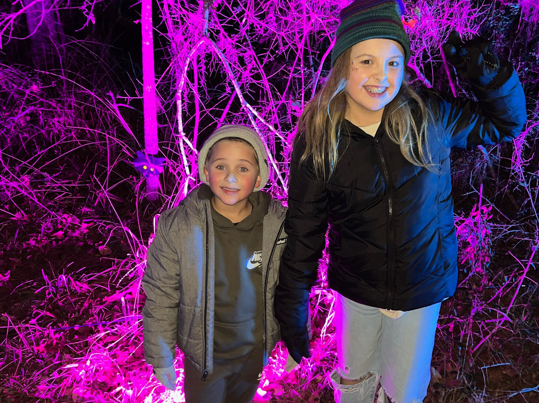 Lone Star Lights-Huntsville必去景点