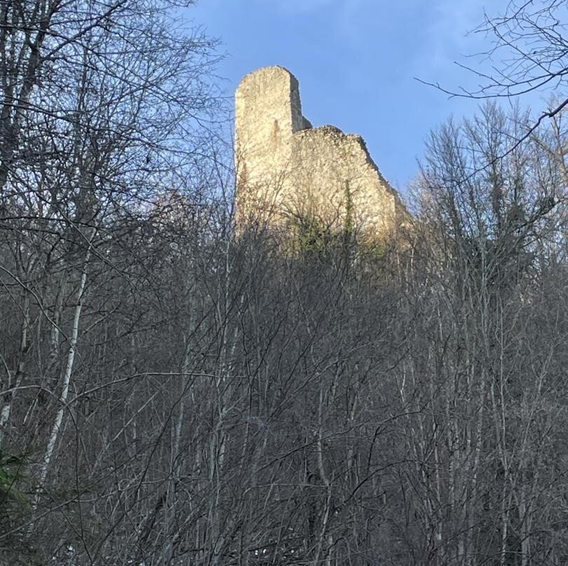 Chateau de Vorbourg-德莱蒙必去景点